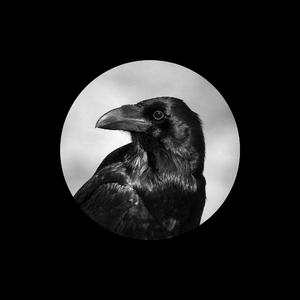 我要看女人日逼
