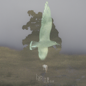 我要看女人日逼
