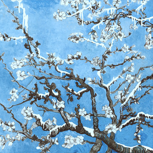 我要看女人日逼
