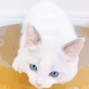 我要看女人日逼
