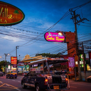 我要看女人日逼
