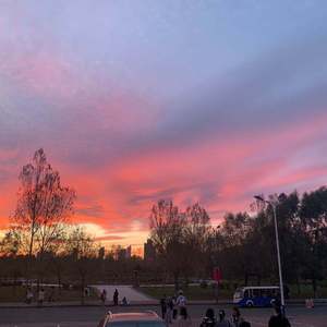 我要看女人日逼
